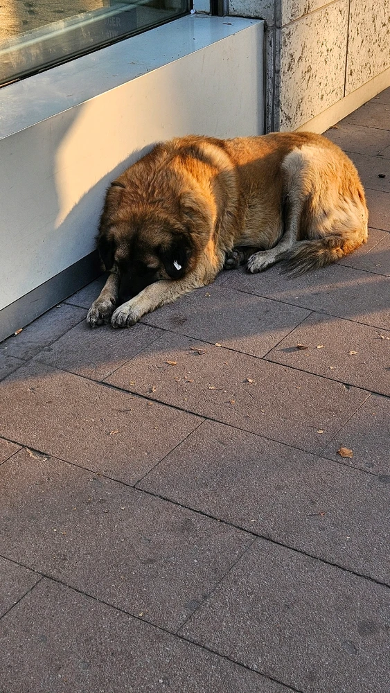 GIF uploaded by Harith