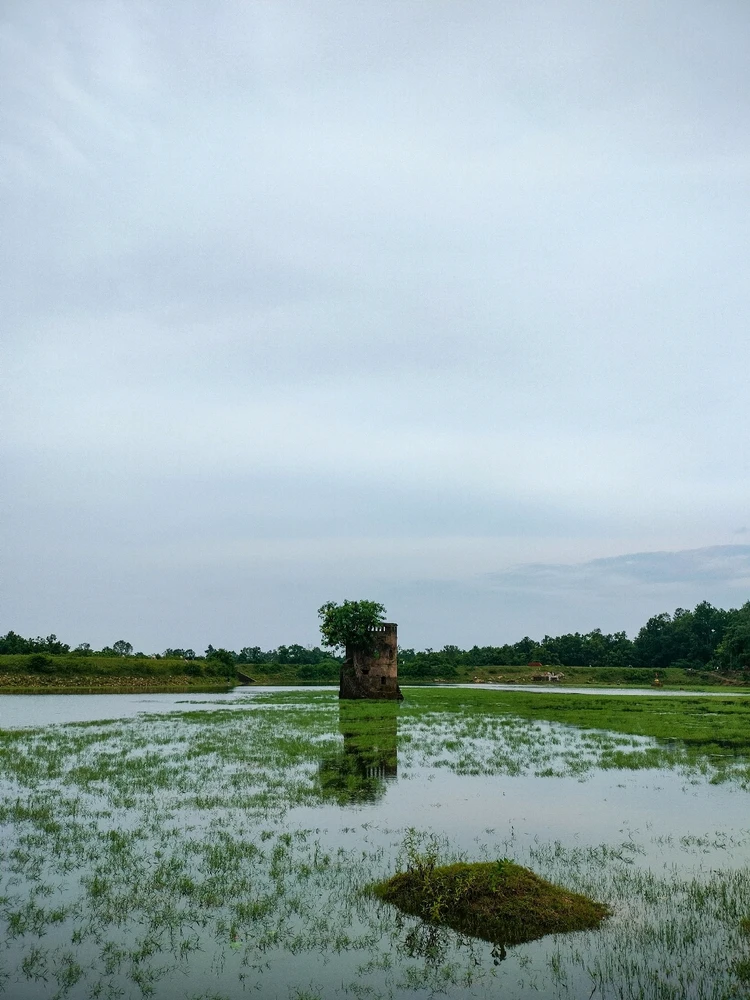 GIF diunggah dening Sanu