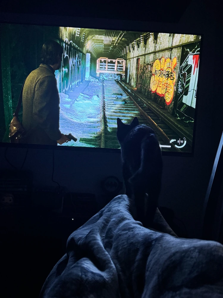 GIF caricata da Marco