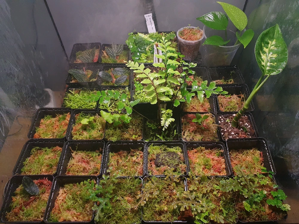 Imagine încărcată de Daniel