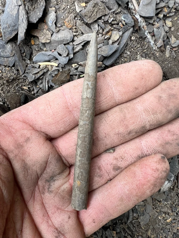 Image uploaded by Dana