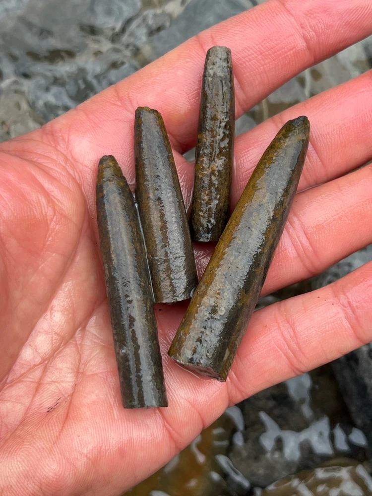 Image uploaded by Dana