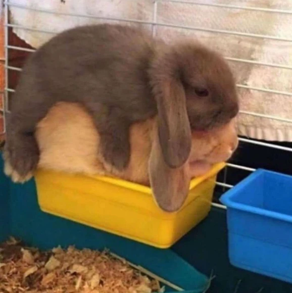 Image uploaded by Cesar