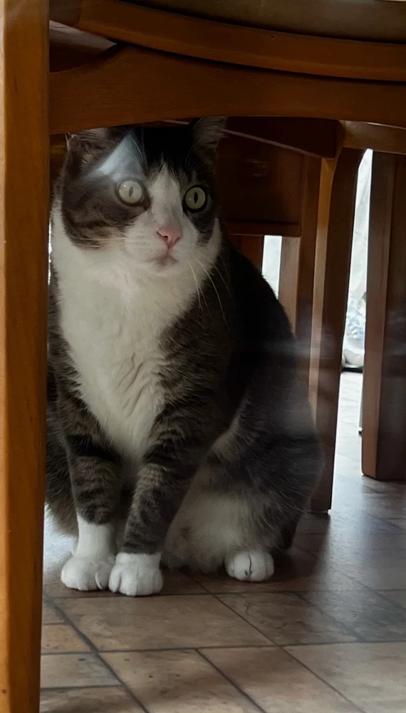 GIF enviado por Victor