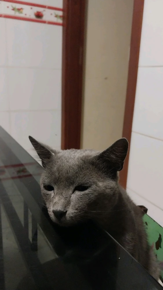 Tem alguém aqui pedindo comida 🥰