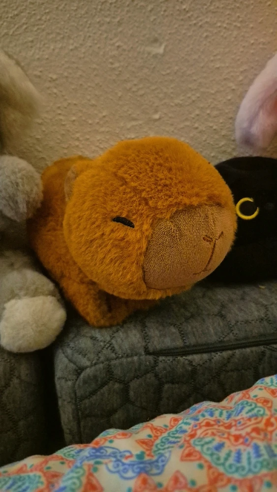 Image uploaded by Danielle