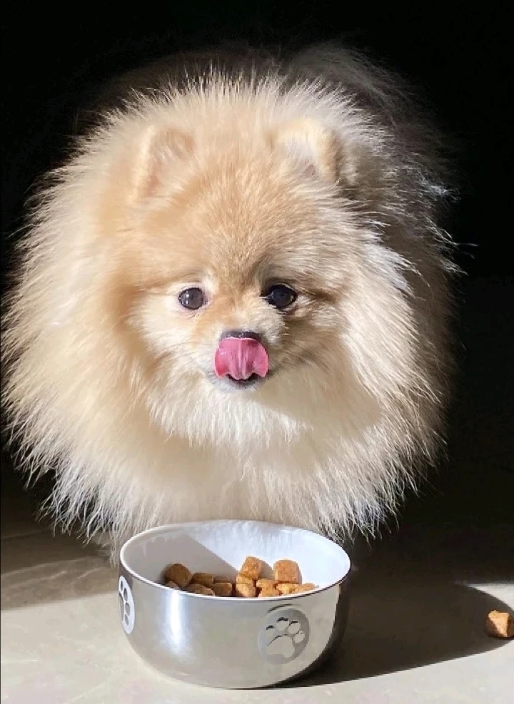 GIF uploaded by Sebas