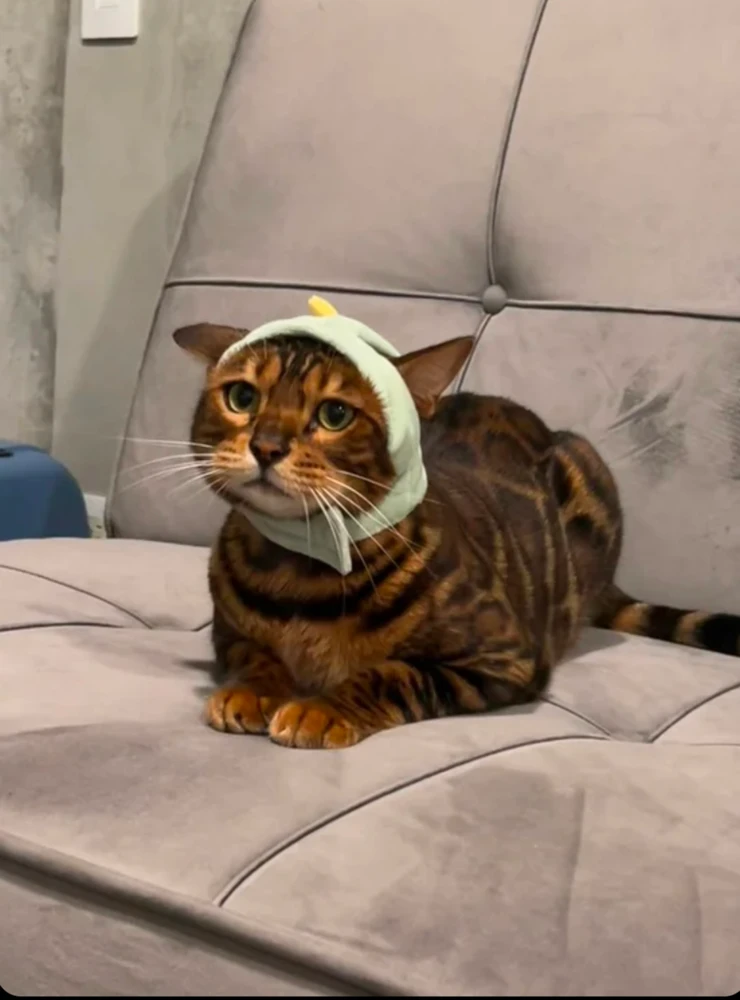 GIF uploaded by Sebas