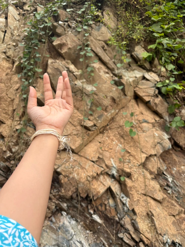 Image uploaded by Api