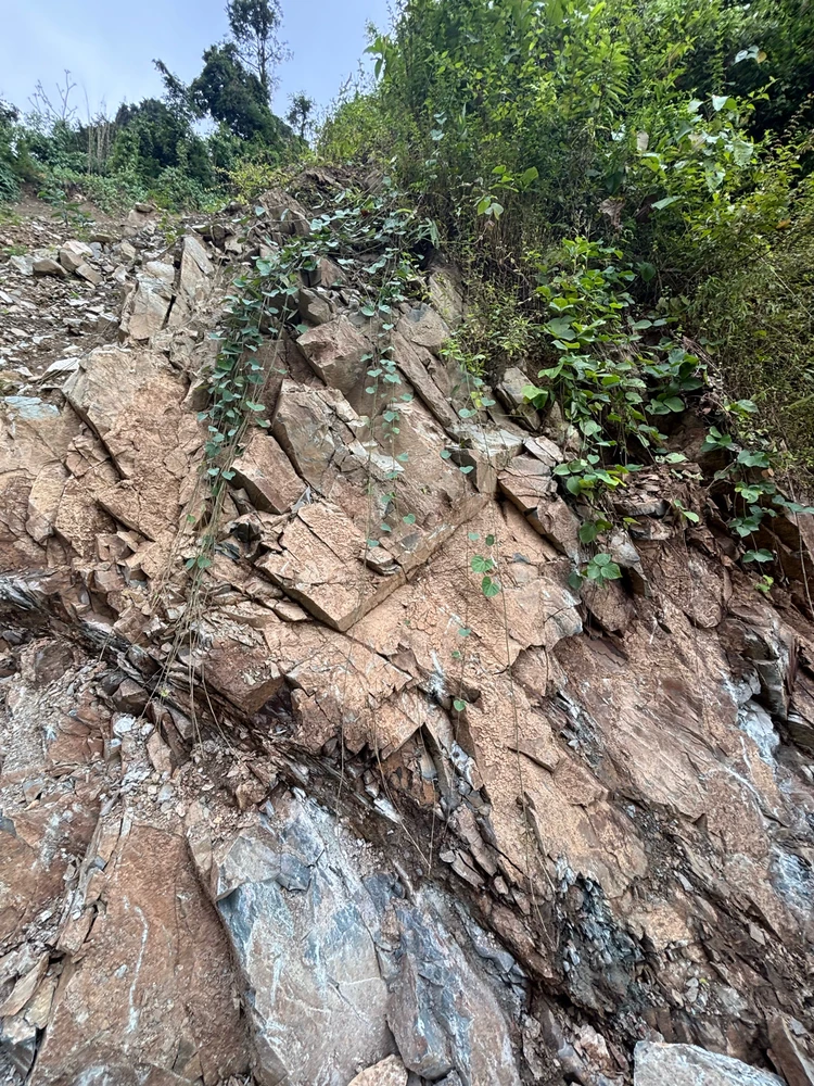 Image uploaded by Api