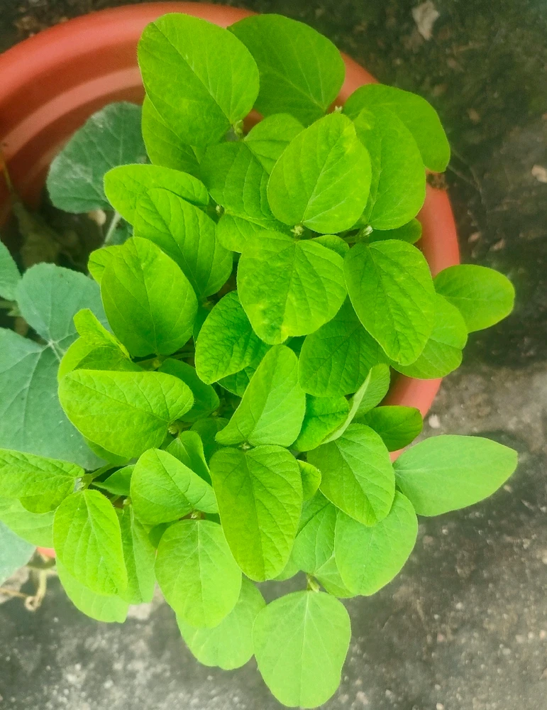 GIF uploaded by Krishna