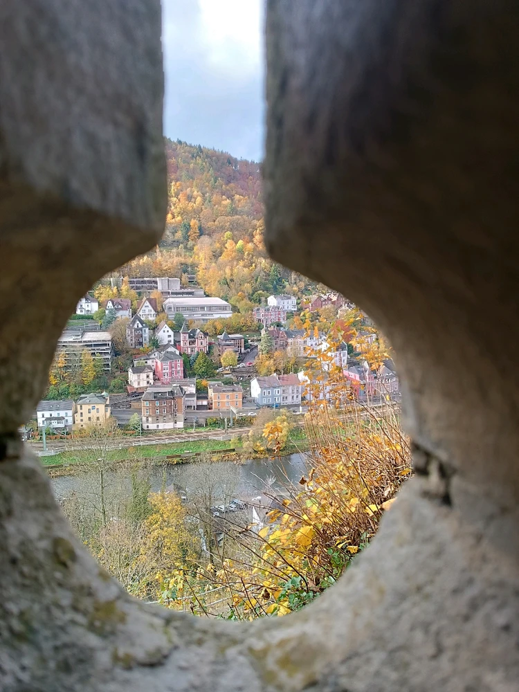 Гіфку завантажив Тanya