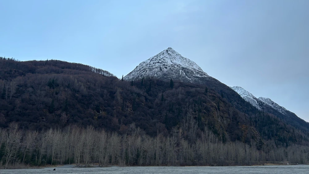 Image uploaded by Matthew