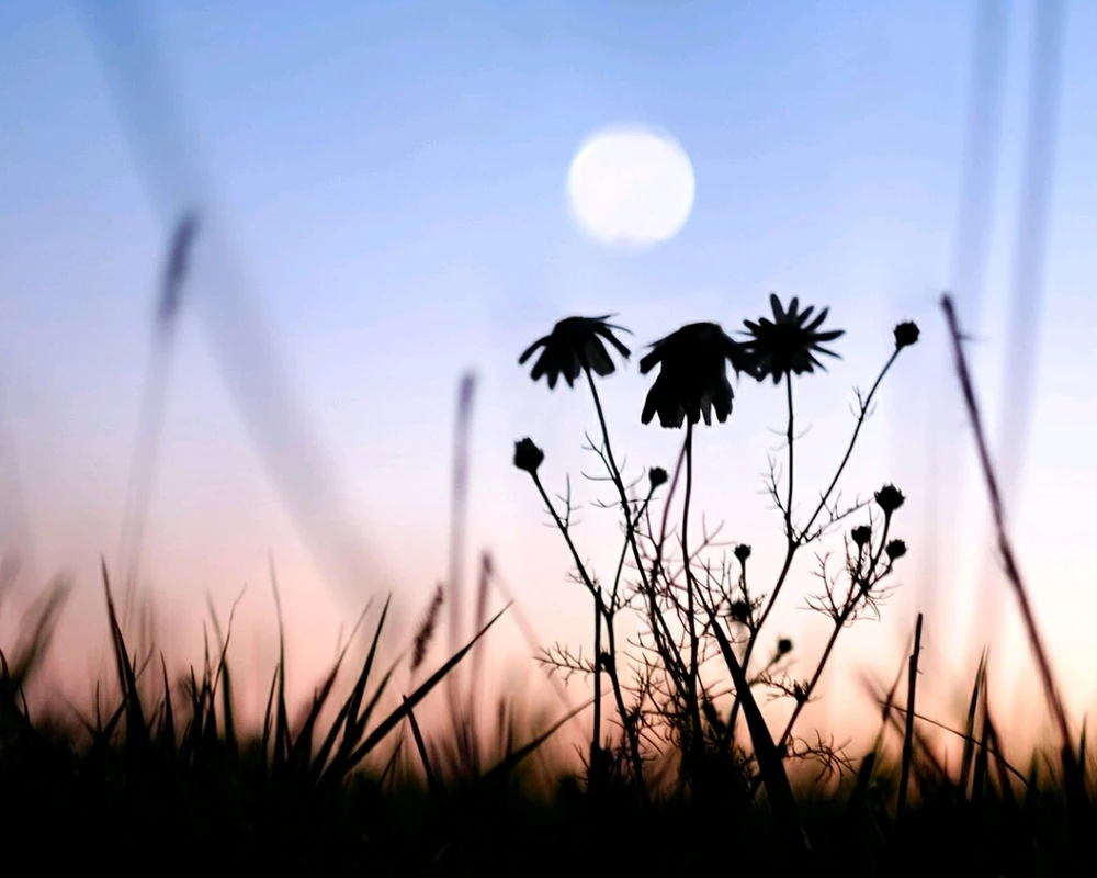 О самом разном...