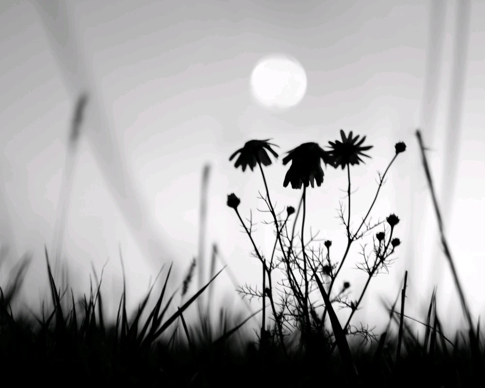 О самом разном...