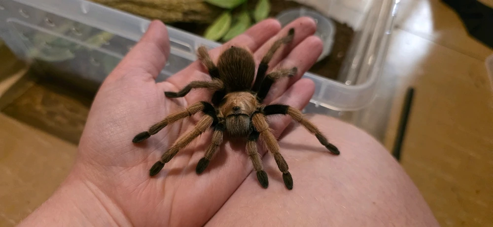 GIF uploaded by Nicky