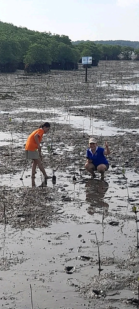 Let's go and plant..