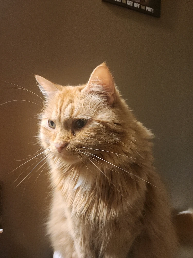 GIF uploaded by Celine