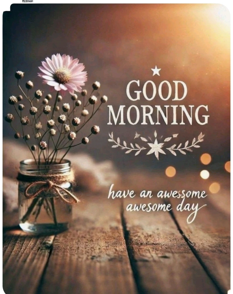 Un coucou du matin 🙋😀