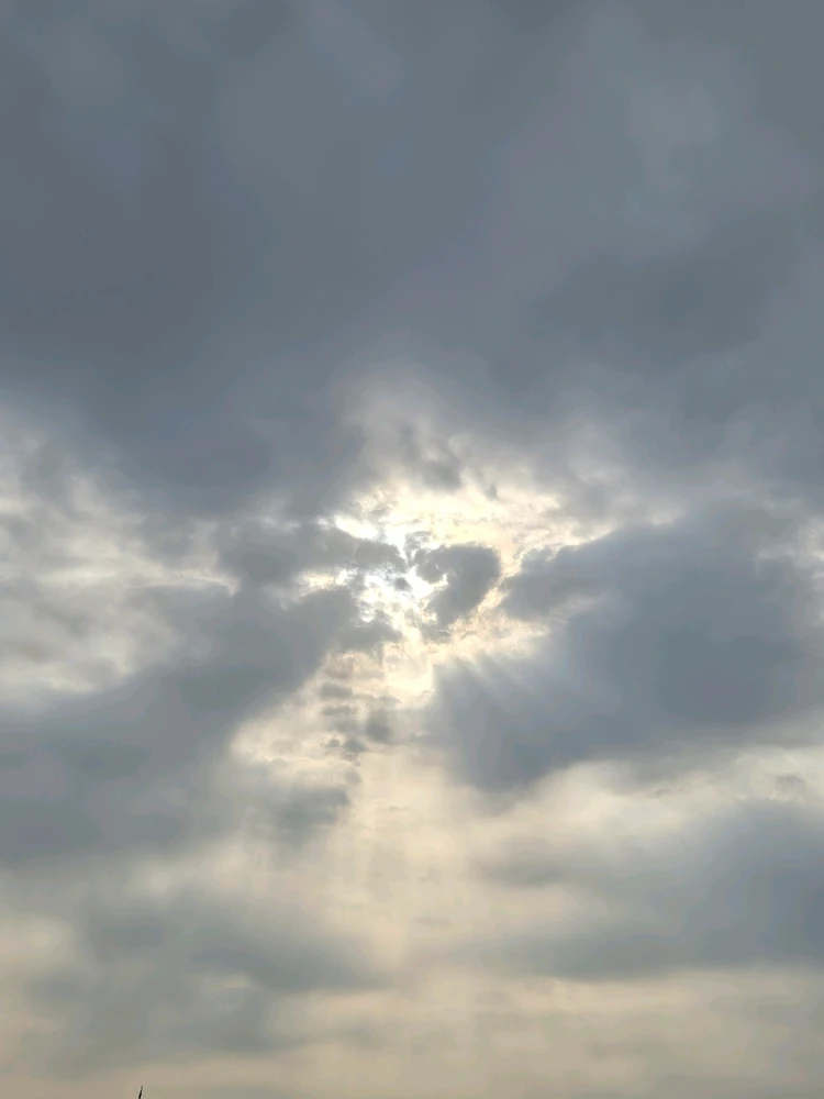 תמונה שהועלתה על ידי רועי