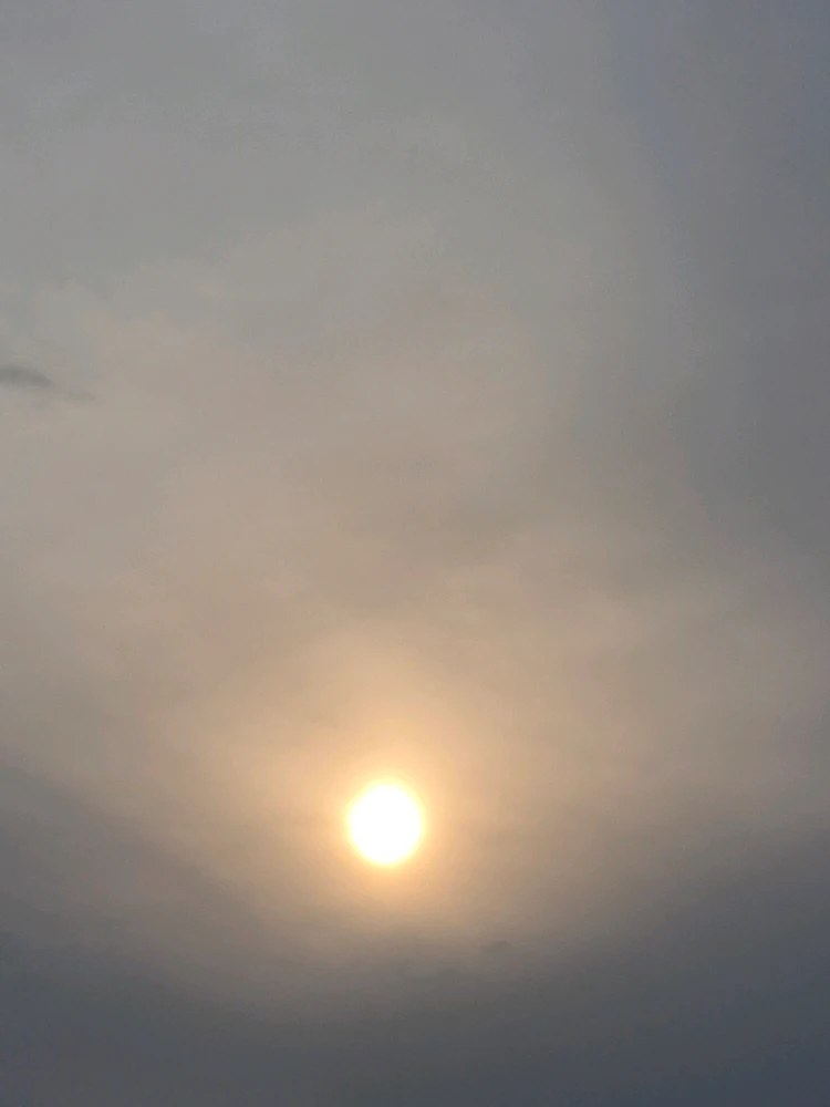 תמונה שהועלתה על ידי רועי