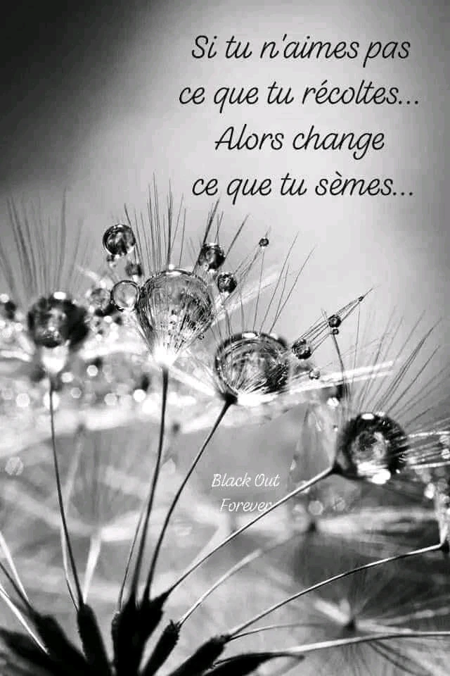 Récolter ce que l'on sème/s'aime 💫