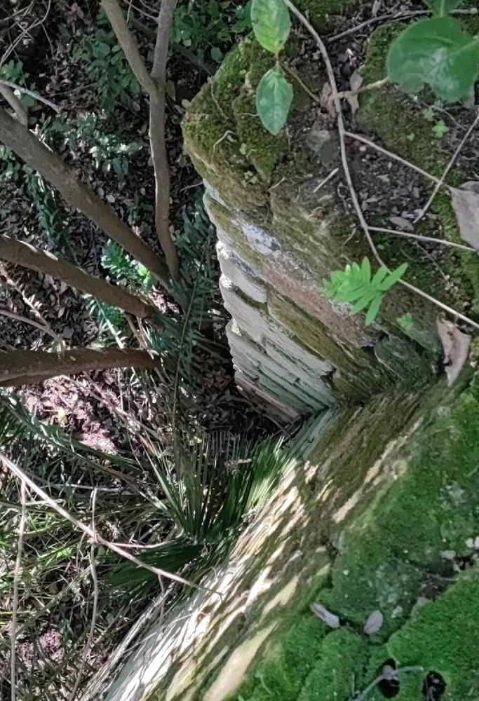 GIF caricata da Noah