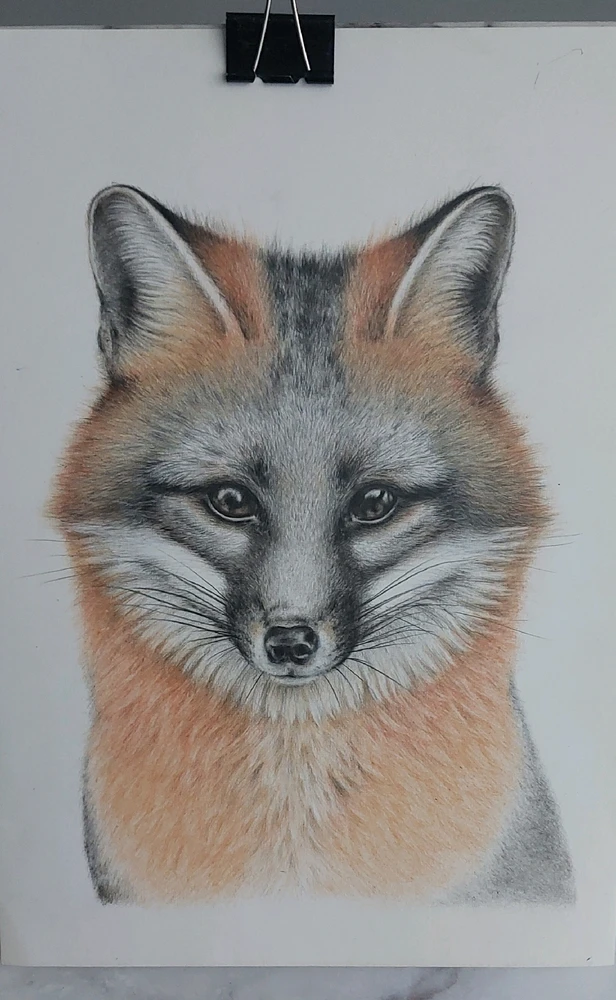 GIF uploaded by LuckyFox