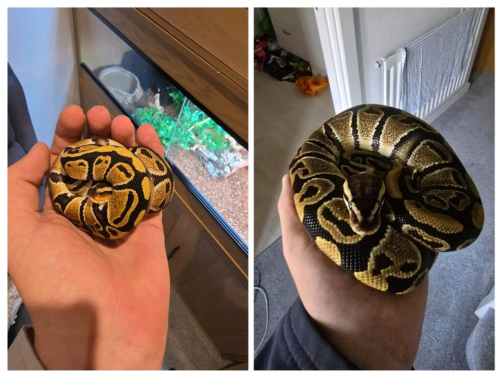 They grow up so fast!