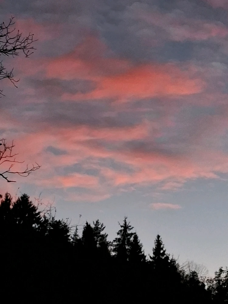 Obrázek nahrál ©️Iva 🦉