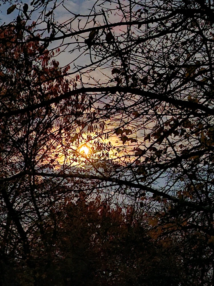 Obrázek nahrál ©️Iva 🦉