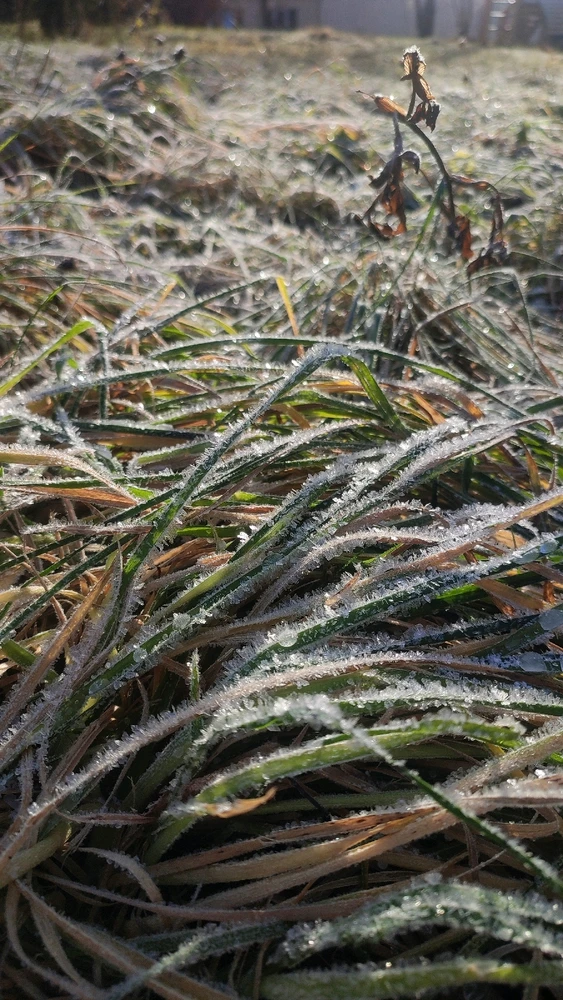 Image uploaded by Lisa