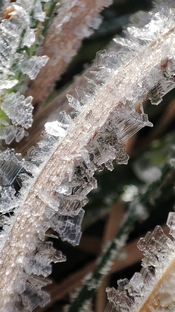 Image uploaded by Lisa