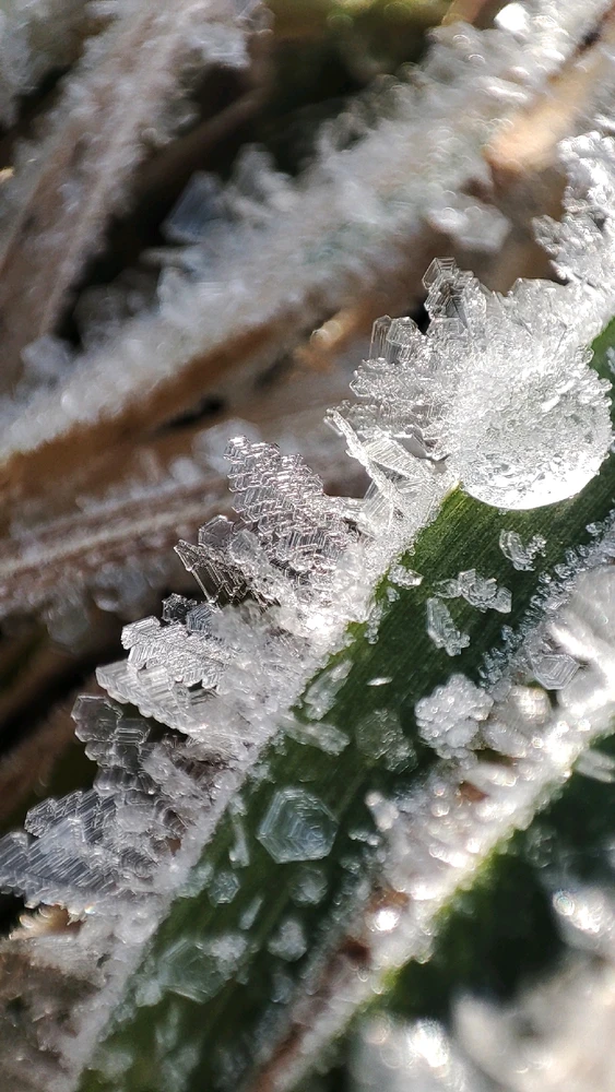 Image uploaded by Lisa