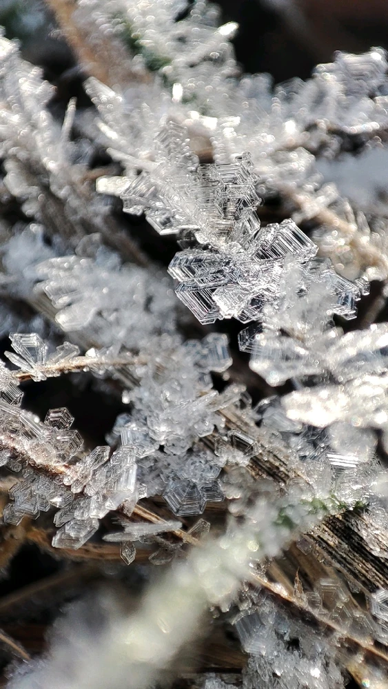 Image uploaded by Lisa