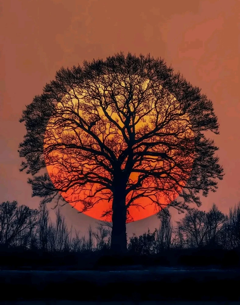 GIF hochgeladen von Christian