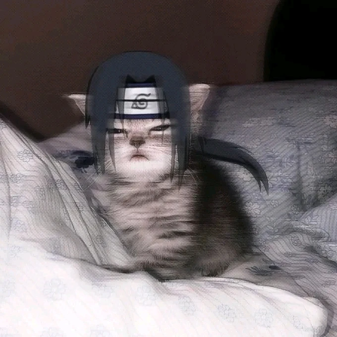 Image uploaded by Elizabeth