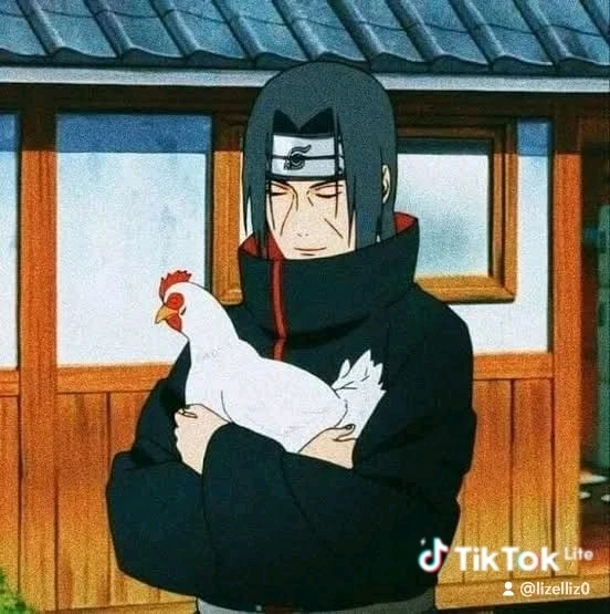 Image uploaded by Elizabeth