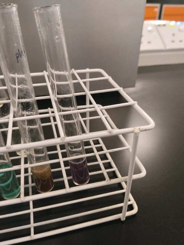 I hope anyone wanna be with scientist like me