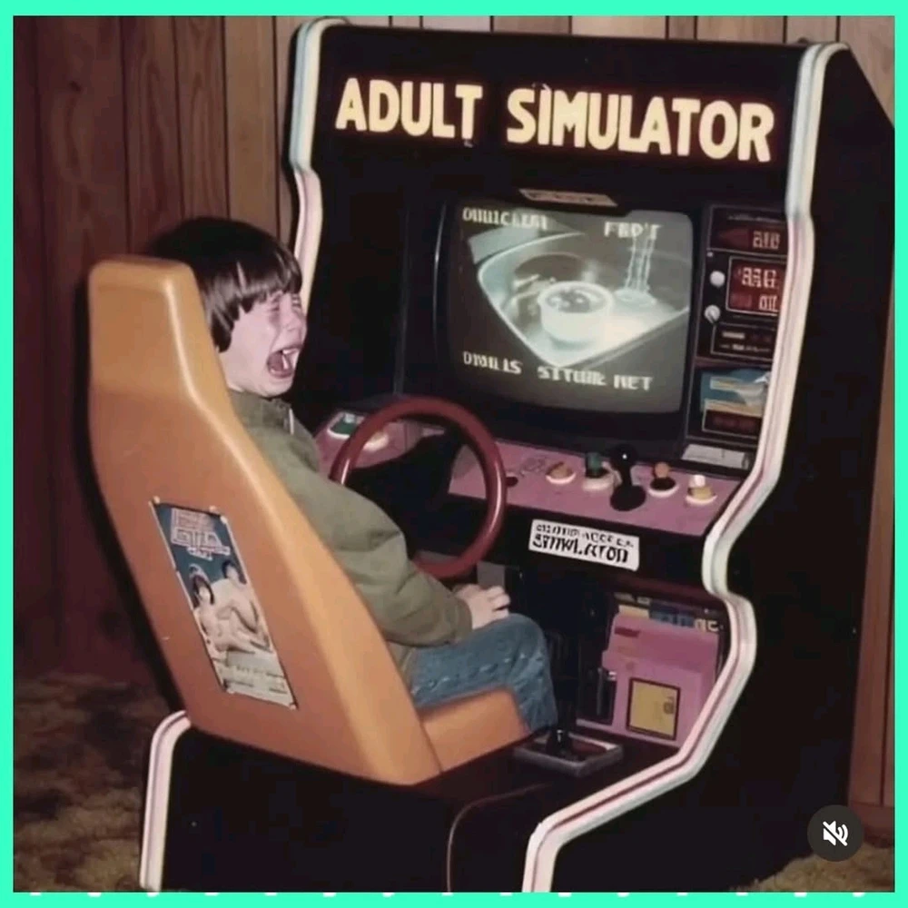 Ahora que cumplí años puedo usar el primer meme 🤣🤣🤣🤣