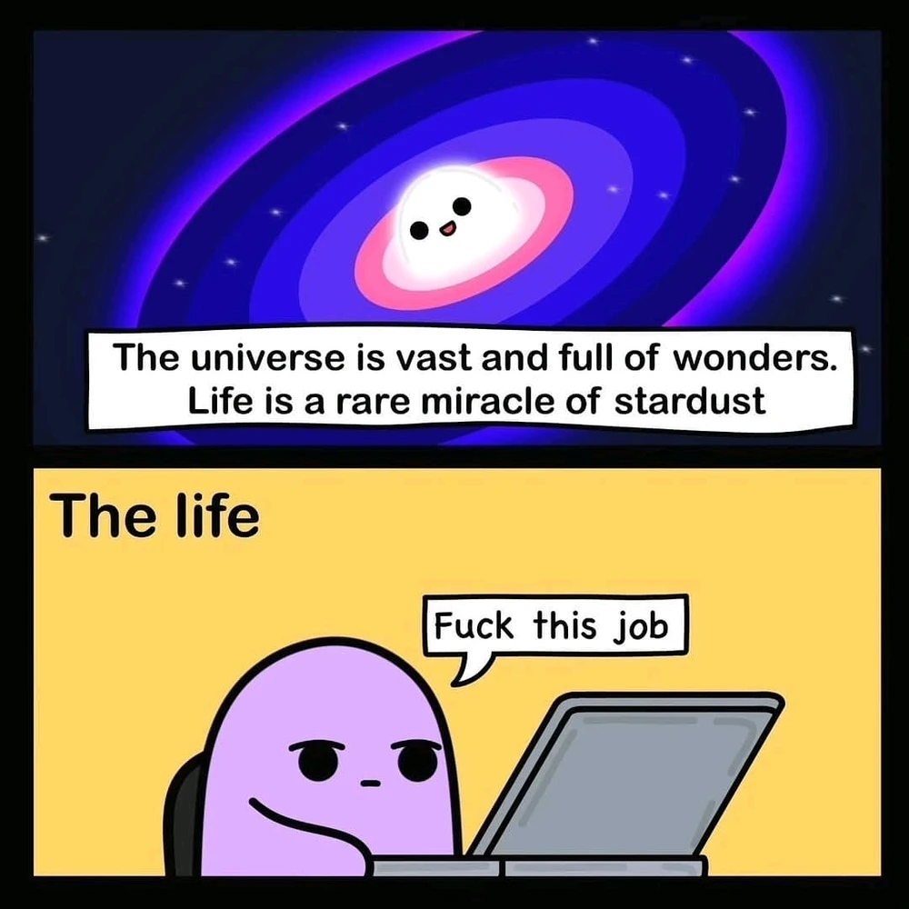 Ahora que cumplí años puedo usar el primer meme 🤣🤣🤣🤣