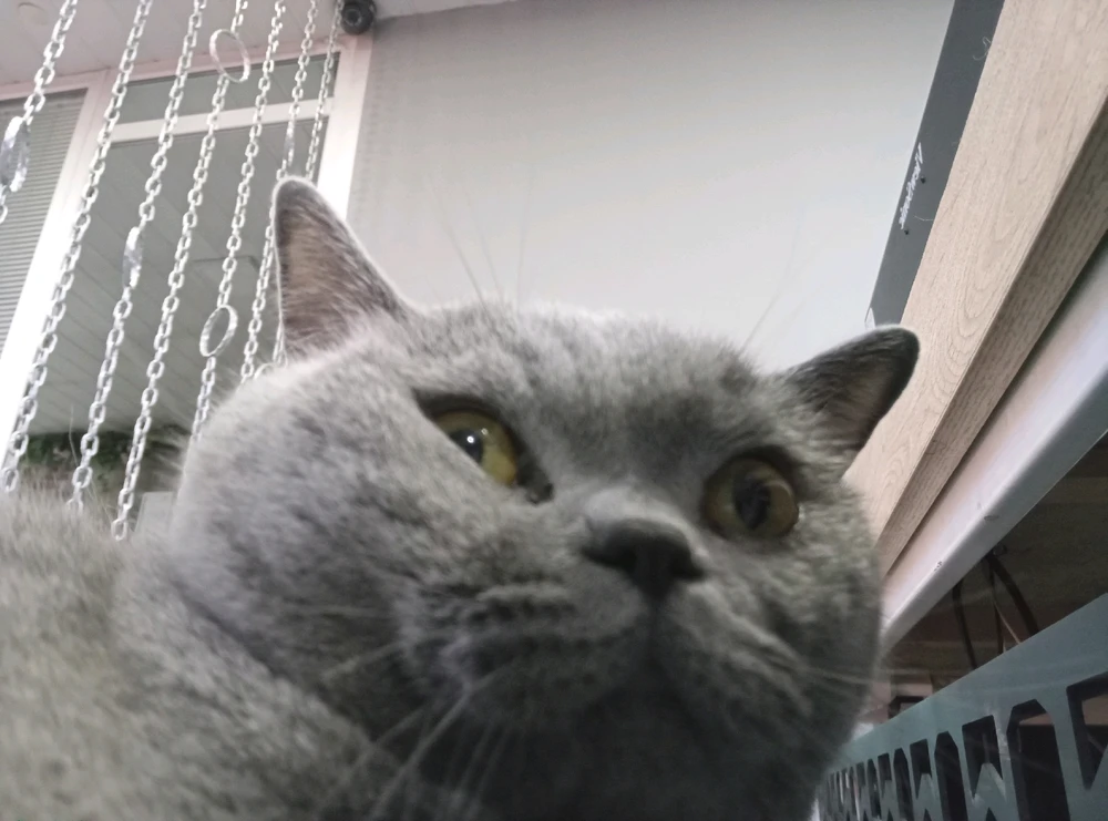 Külfet tarafından yüklenen GIF