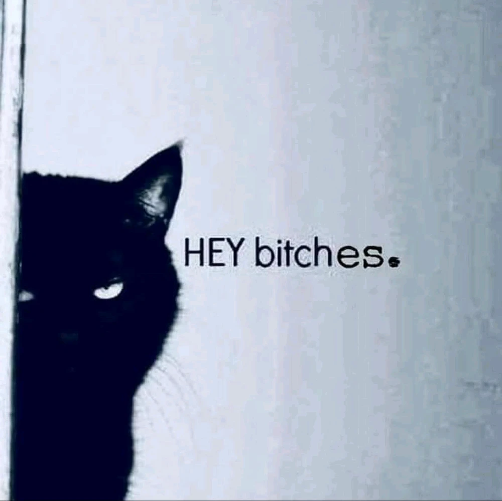 Image uploaded by Beatrix