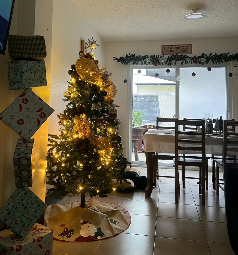 Christmas has arrived