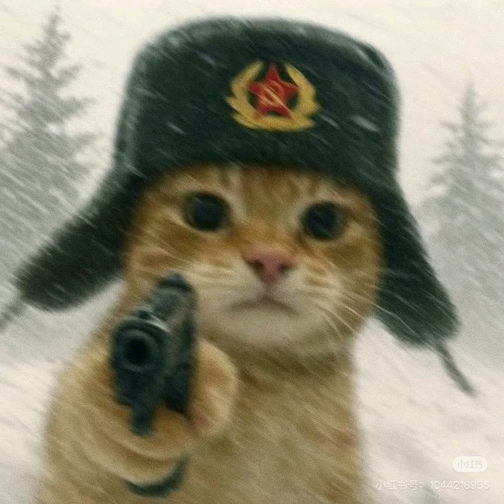 The kitten said: give me the password of your heart... I said no and then he started pointing that gun at me... I hope it's a water gun because this looks dangerous🐈🥲❤️...