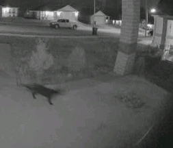 Image uploaded by ᚲᚱᛁᛊᛏᛗᚨ