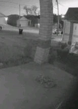 Image uploaded by ᚲᚱᛁᛊᛏᛗᚨ