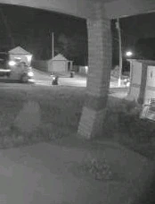 Image uploaded by ᚲᚱᛁᛊᛏᛗᚨ