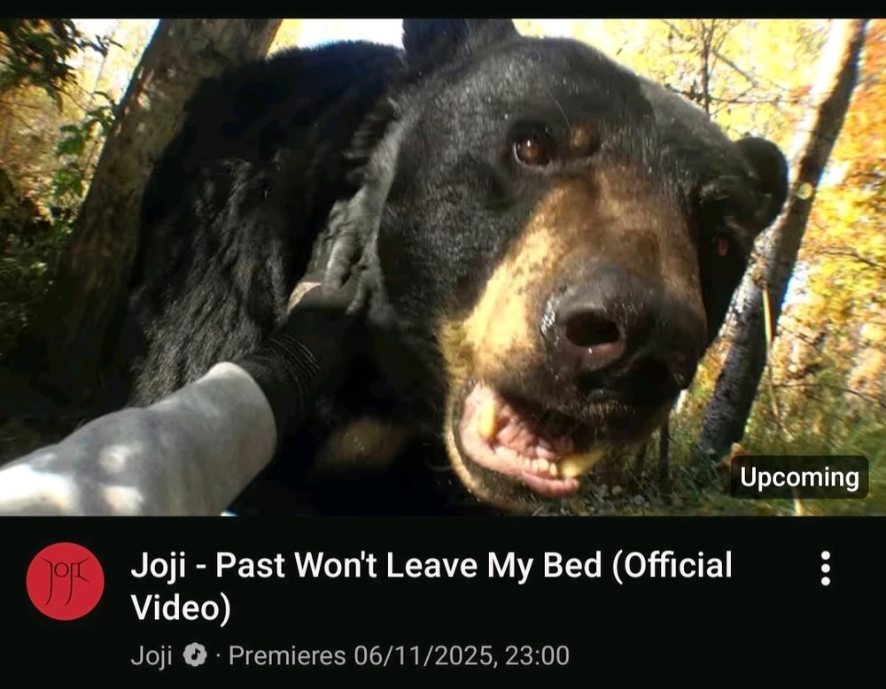 GIF uploaded by Alan