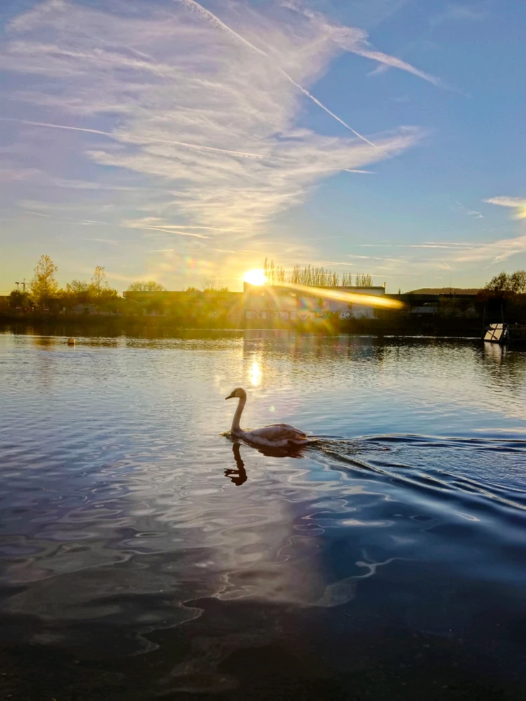 GIF hochgeladen von Kevin